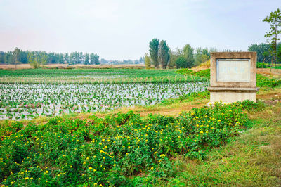 The Ruins of Gaixia