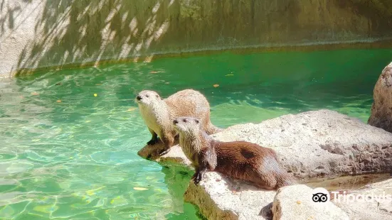 Idaho Falls Zoo at Tautphaus Park