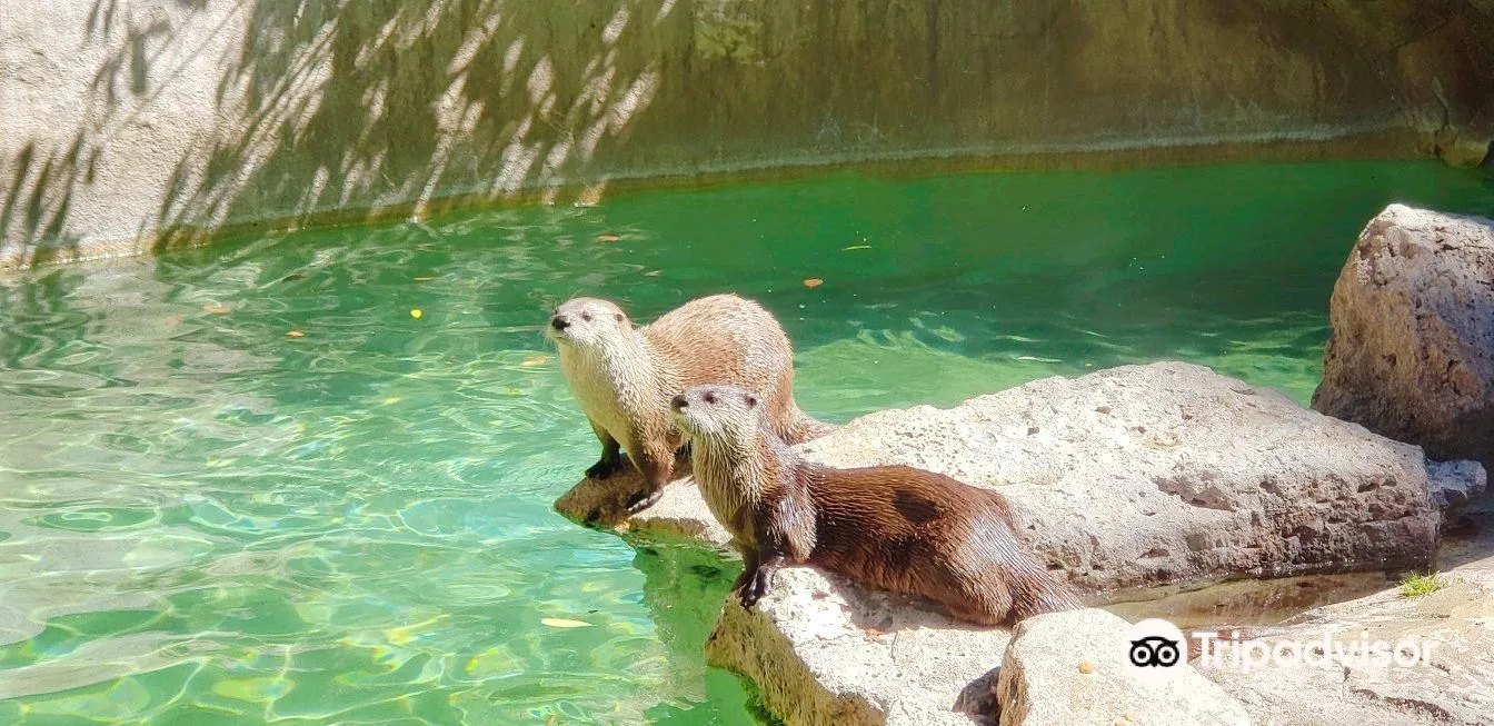 2_Idaho Falls Zoo at Tautphaus Park