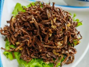 Song ji ba da wan