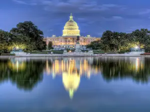 Popular Night Attractions in Washington D.C.