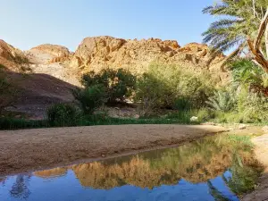 Chebika Oasis