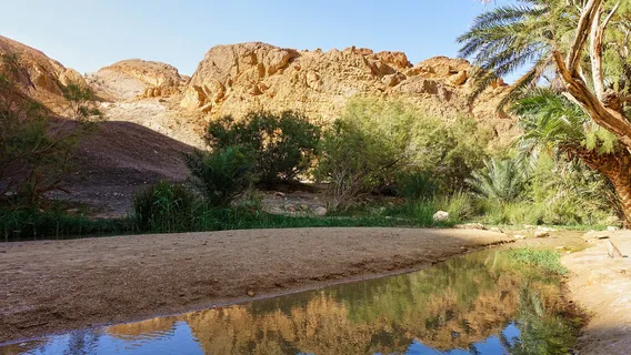 Chebika Oasis
