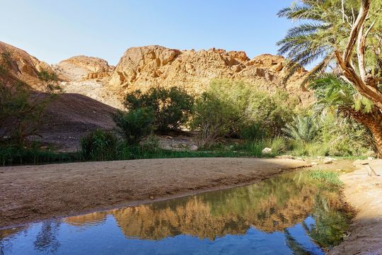 Chebika Oasis