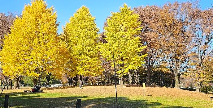 Akatsuka Park