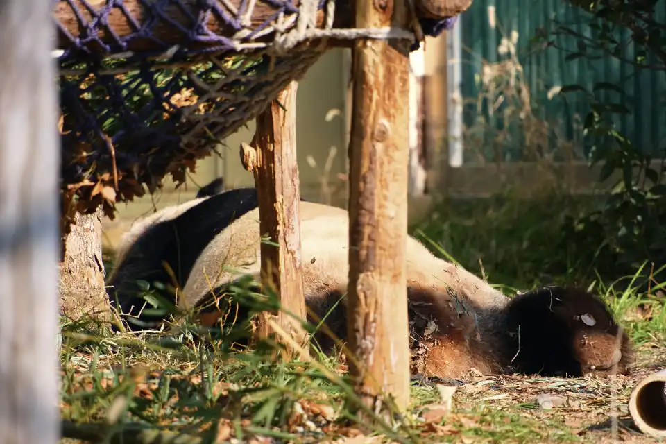 5_Qingdao Zoo