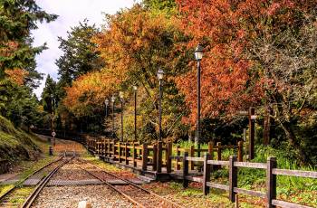 嘉義縣的熱門遊賞秋景好去處