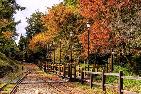 Alishan National Scenic Area