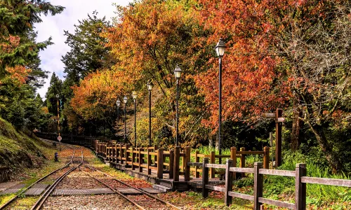 Alishan National Scenic Area