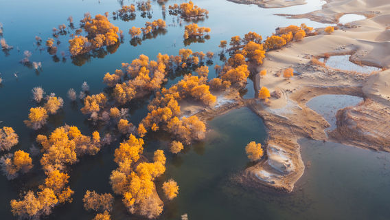 Huludao Scenic Area, Yuli County, Korla
