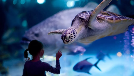 Lianyungang Underwater World