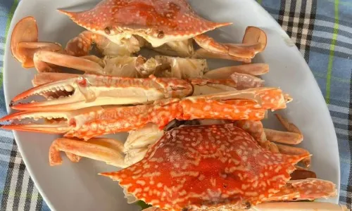 Chong Khao Seafood