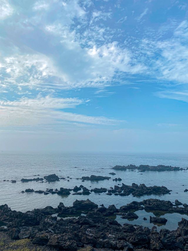 365일 무지개가 뜨는 제주도