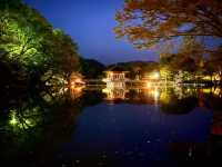 夜の奈良公園・浮見堂と鷺池