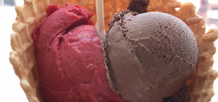 Solo Gelato