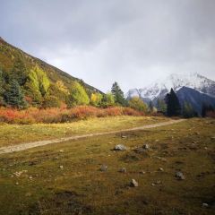 成都家乡菜 User Photo