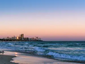 Popular Night Attractions in Miami