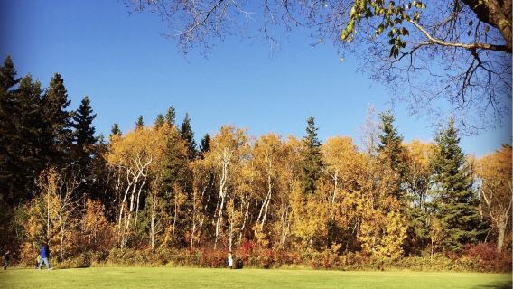William Hawrelak Park