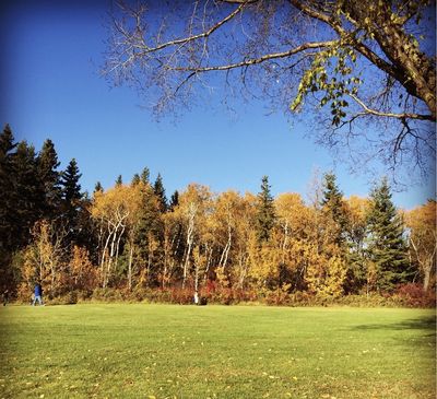 William Hawrelak Park
