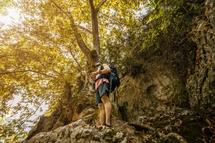 Mangshan Forest Park