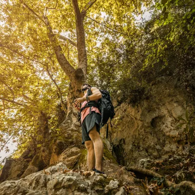 Разрешено размещения с домашними животными Отели в г. Учжишань