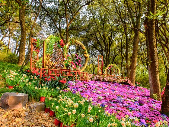 上海植物園