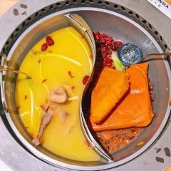 熊猫老灶火锅(TX淮海路店) User Photo