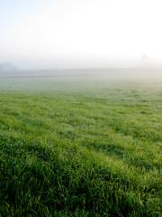 Nanni River Hanging Grassland