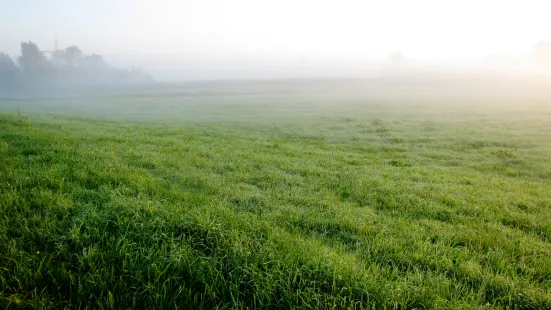 Nanni River Hanging Grassland