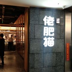 肥貓（永盛店）張用戶圖片