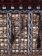 Biru Skull Wall