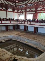 Lotus Hot Spring Pool