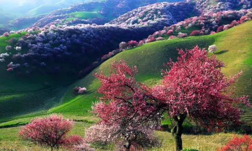 China Fushou Mountain Scenic Area