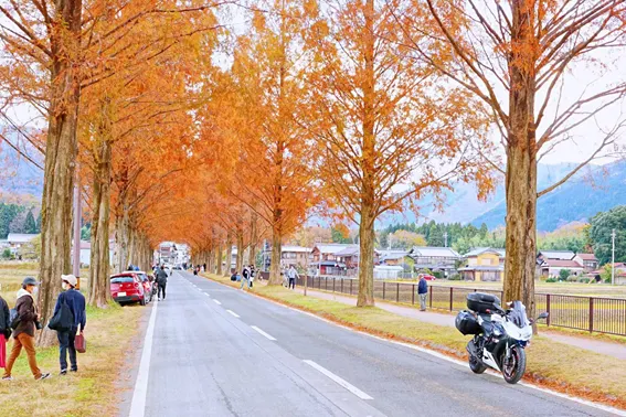 【2021年の日帰り旅・関西編】絶対行ってみたい！関西の人気スポット５選！