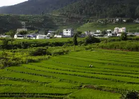 Lianhe Terraced field