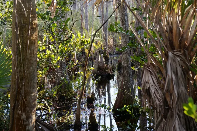 Отели рядом с достопримечательностью «Phra Nakhon Khiri Historical Park»