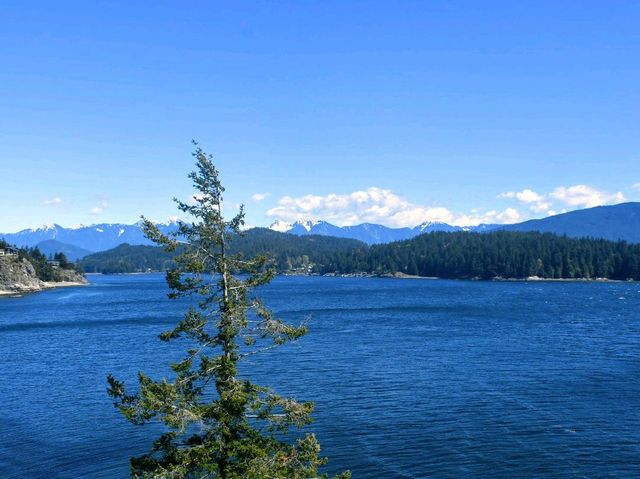 Sunshine Coast Paradise
