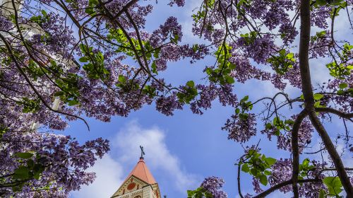 St. Michael's Cathedral