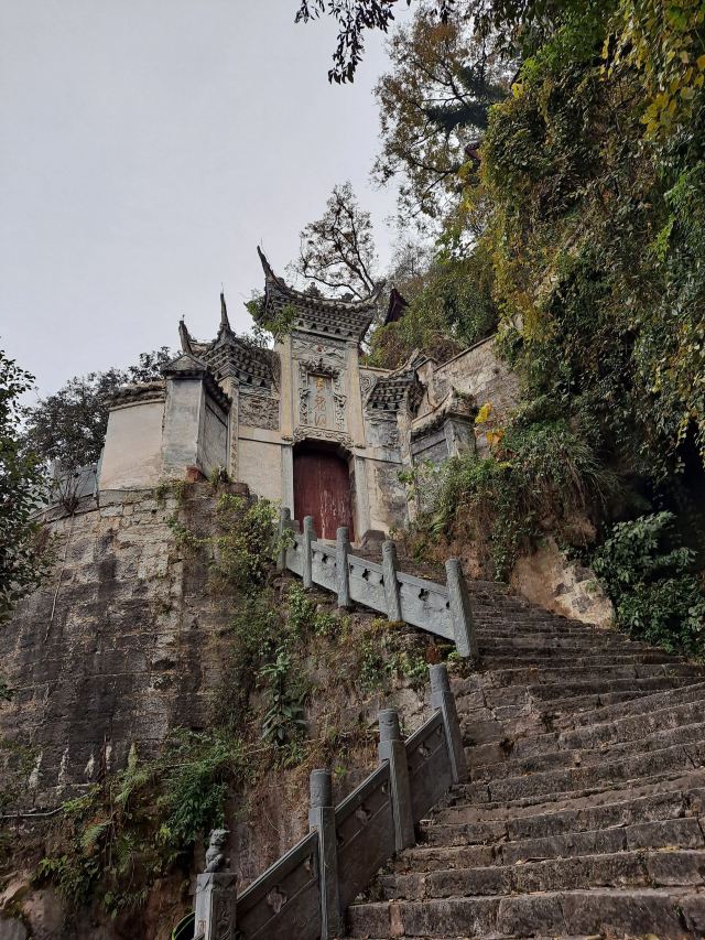 청룡동