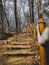 the best hikes in the u.s[maine to CA]