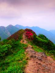 通天蠟燭山