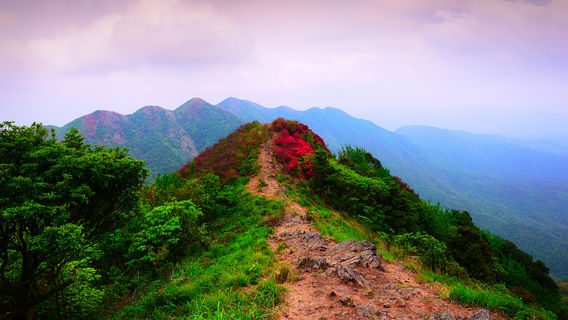 Reaching Sky Candle Mountain