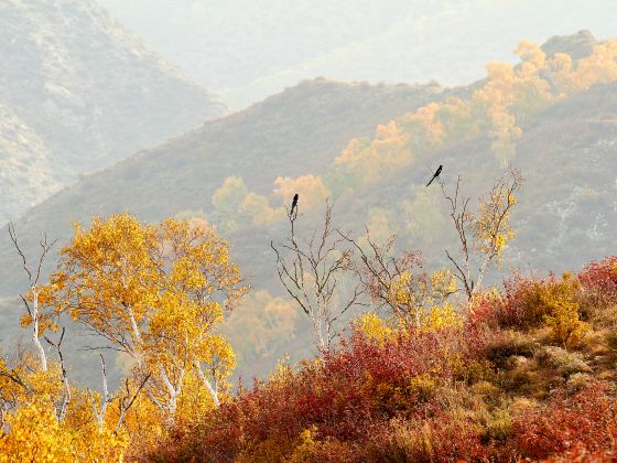 馬鞍山景區