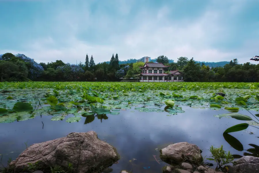 天池公園