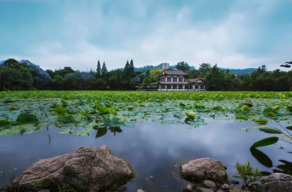 Yibin Jinghu Hotel