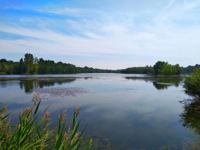 Bailang Oasis Wetland Park