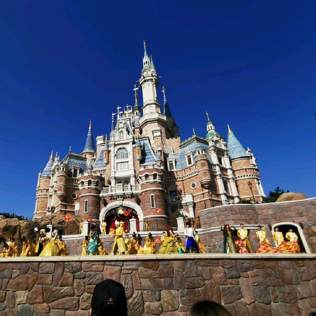 World Of Disney 