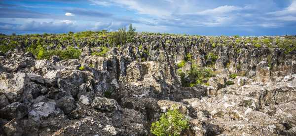 Homestays in Nauru