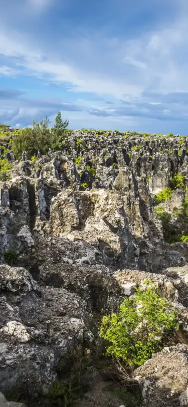 Hoteller med Parkering i Nauru