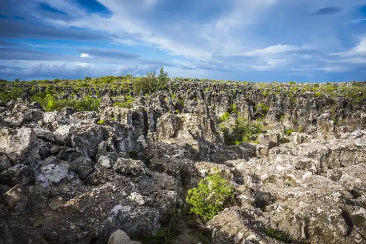 Hotels With Gym in Nauru
